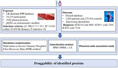 Proteome-wide Mendelian randomization identifies therapeutic targets for ankylosing spondylitis